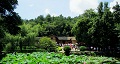 長沙出發(fā)到花明樓、韶山、張家界國家森林公園、天門仙山國家森林公園四日游